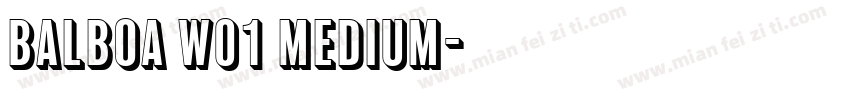 Balboa W01 Medium字体转换